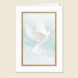 Obituary of Ernesto Rodriguez