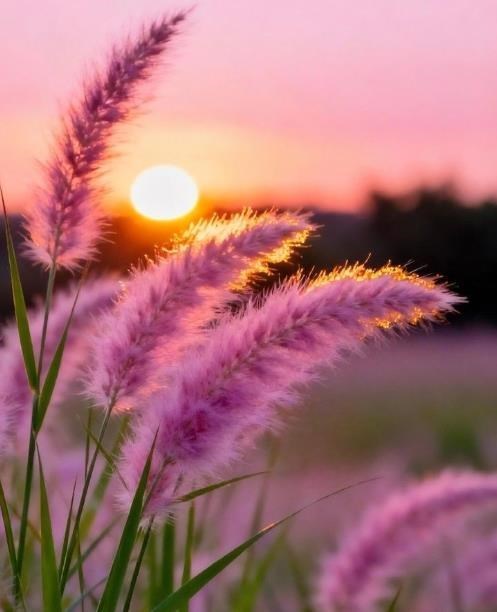 Obituary of Dolores Kessinger Kosky