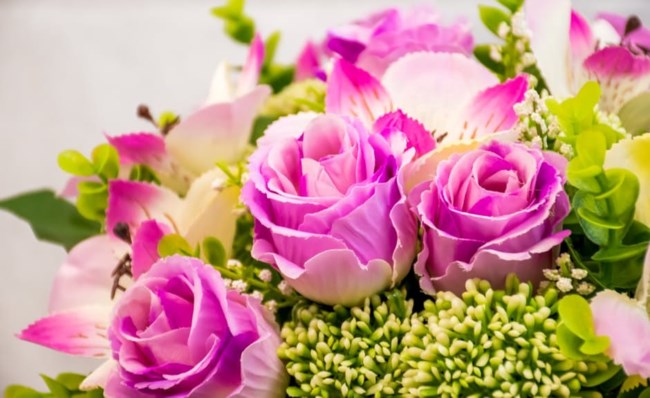 mary e bolin obituary