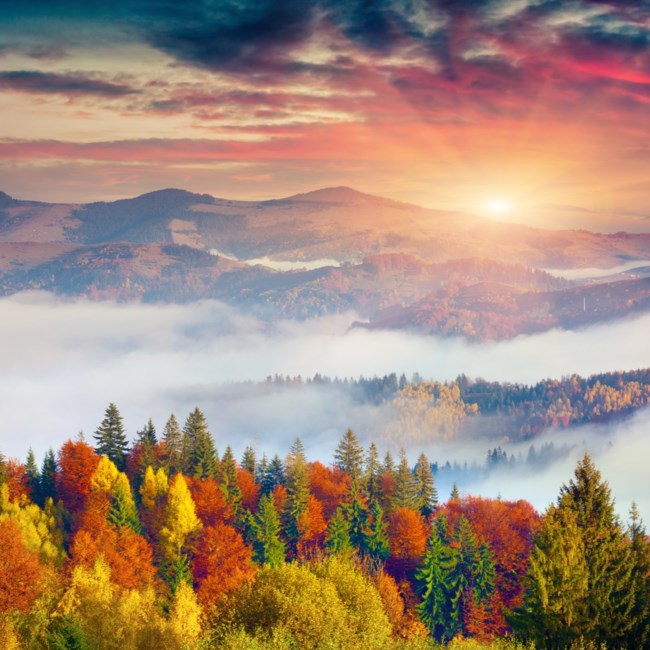 Obituary of Richard T. Kane