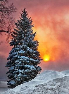 Obituary of Mark Ray Thomatos