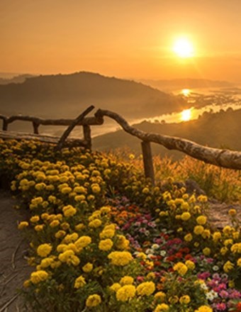 Obituary of James Gaertner