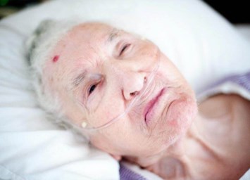 Obituary of Maria Isabel Barbosa