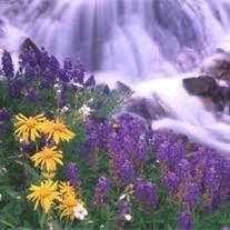 Obituary of Carl Gene Collins