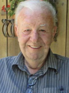 Obituary of Sam J Arena Jr.
