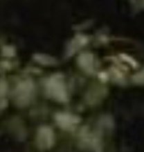 Clarence Smith Obituary Clayton, NC