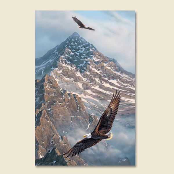 Obituary of Son Nguyen Truong Cao