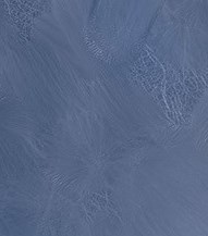 Taylor photography eva T H