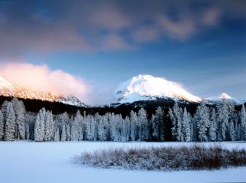 Obituary of Arch Waters Roberts Jr.