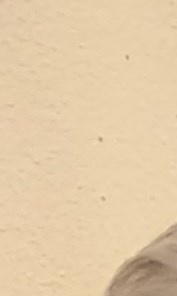 James Rosenauer Obituary - Pasadena, TX