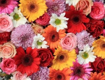 Obituary of Evelyn M McSherry