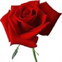 Obituary of Shirley Ann Atwell