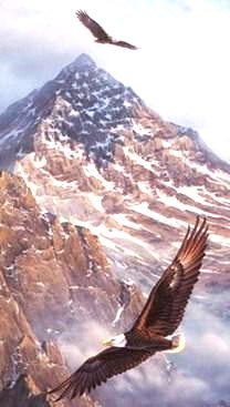 Obituary of Elmer A. Miller Jr.