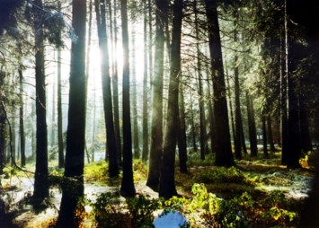 Obituary of Gary Ray Taylor