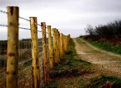 Obituary of Russell Anthony Gomez