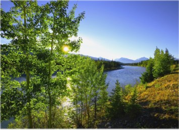 Obituary of Adrienne Grace Koochagian