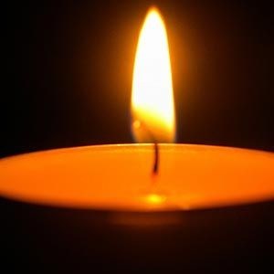 Obituary of Sandra Ann Parker