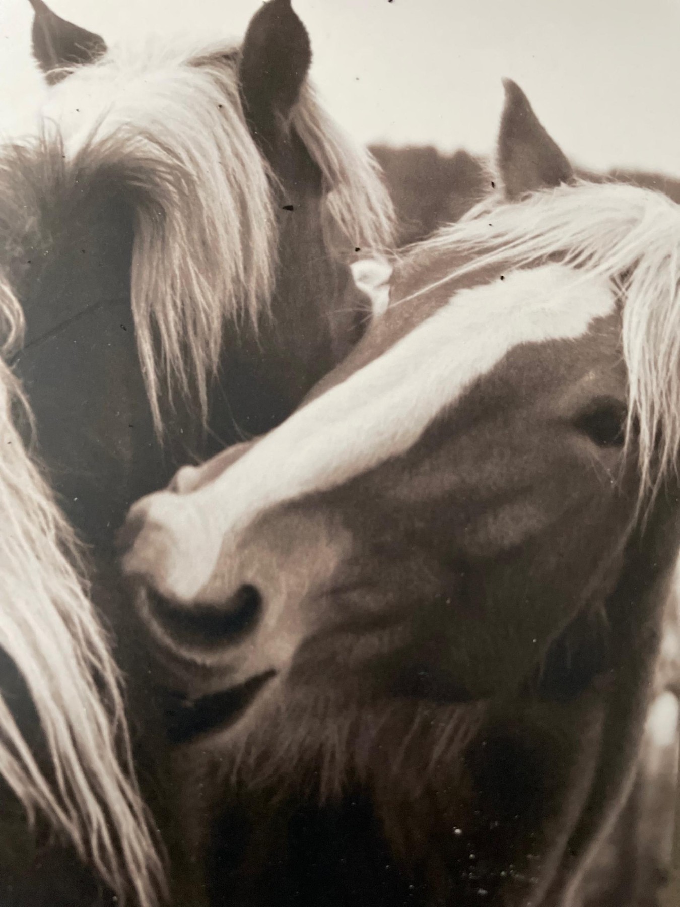 Obituary of Dorothy Boyle