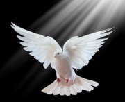 Obituary of Luis Rene Valdez Merida