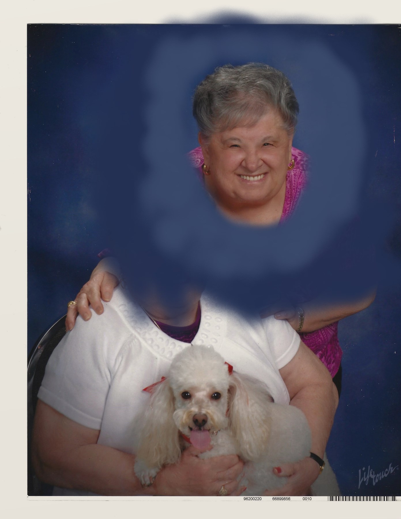 Obituary of Carolyn Patricia DiMattia