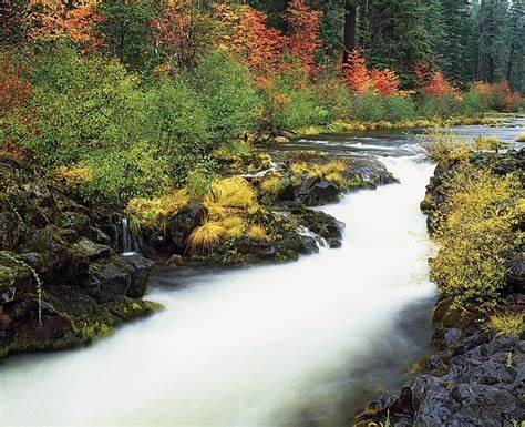 Obituary of Mandy Elaine Morgan