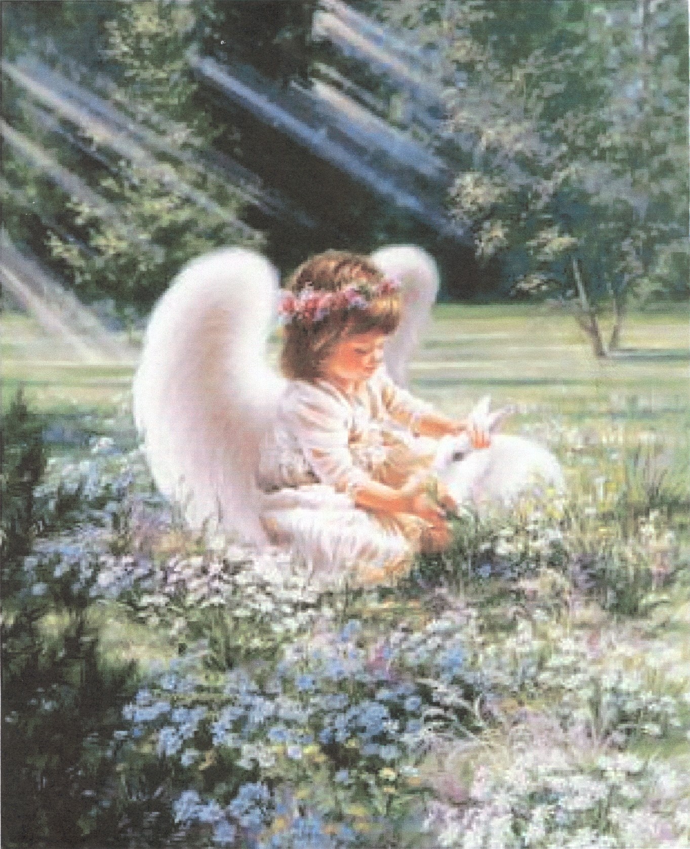 Obituario de Brisa Victoria Colon-Jimenez