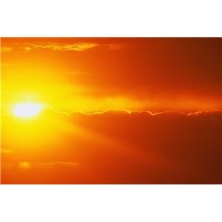 Obituary of Hildegard Barnickel