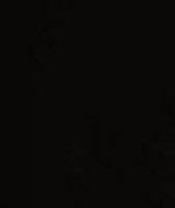 Patricia Campbell Obituary - North Palm Beach, FL