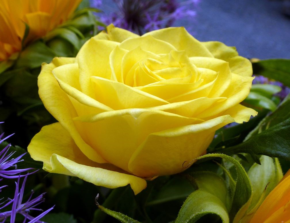 Obituary of Shun Feng