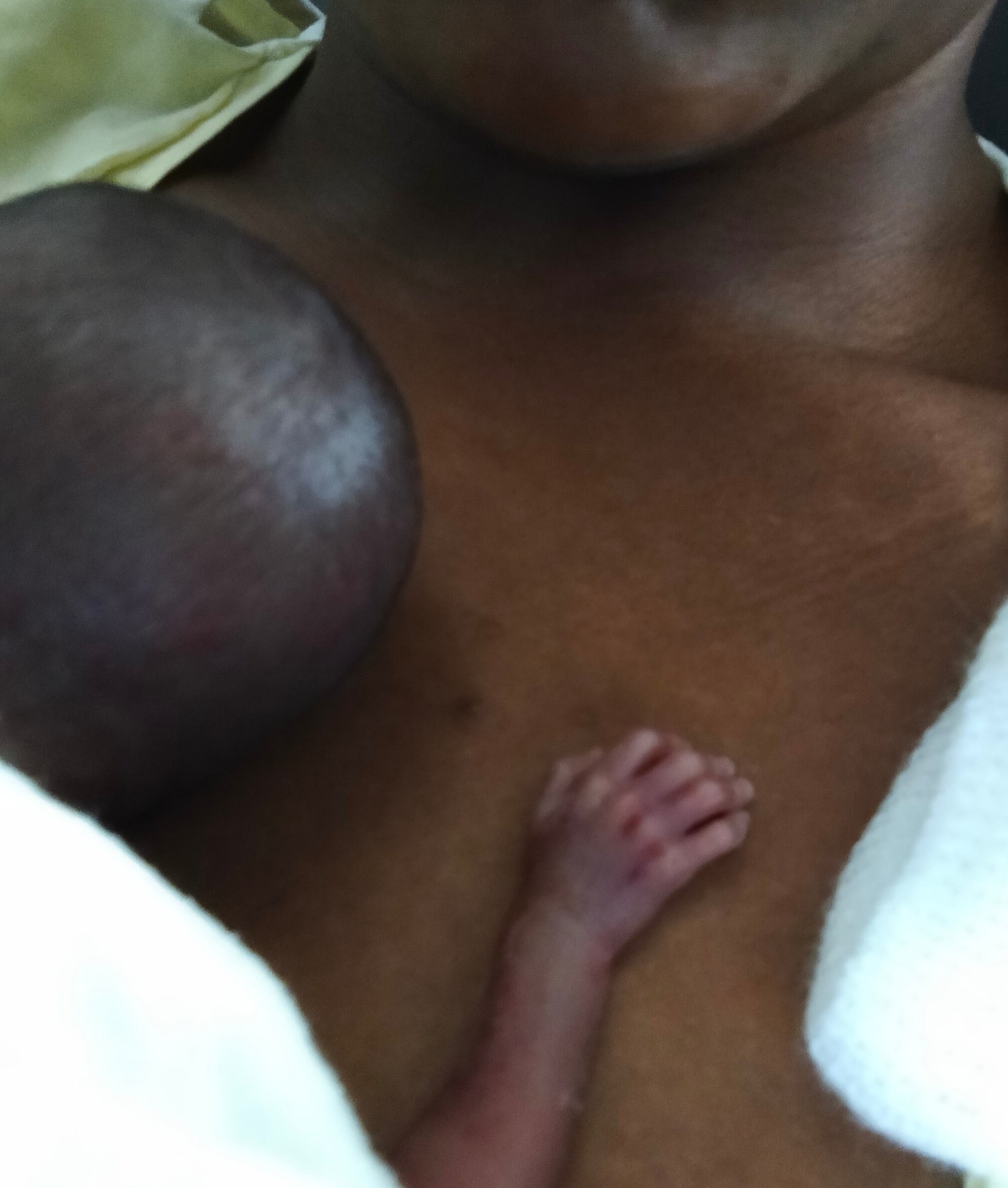 Obituary of Xavier Charles Princeton Evans