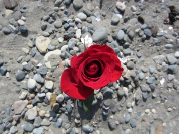 Obituary of Leighsa Michelle Krystene CHARLESON