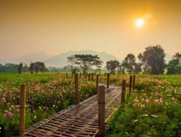 Obituary of Patrick Francis Tedaldi