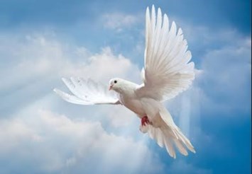 Obituary of Manuel Almodova Jr.