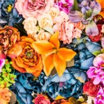 Caroline Creech