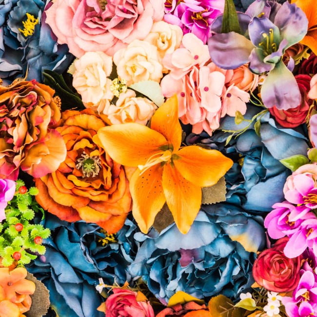 Obituary of Caroline Ann Creech