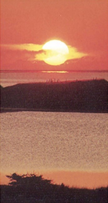 Obituary of George J. Freitag