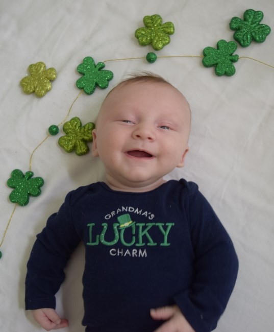 Obituary of Owen Lawrence Hoglund