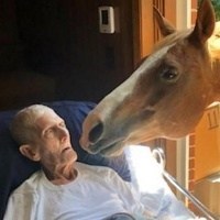 Obituary of Frederick "Leon" Robertson