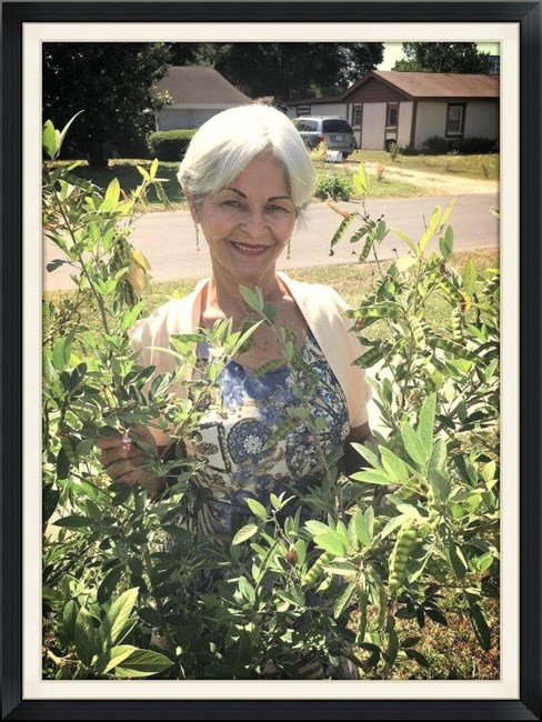 Obituary of Gladys Iris Flores