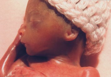 Obituary of Daleyza Guadalupe Aldaco Chavez