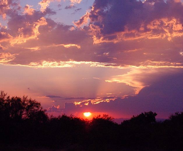 Obituary of Milton Cohen