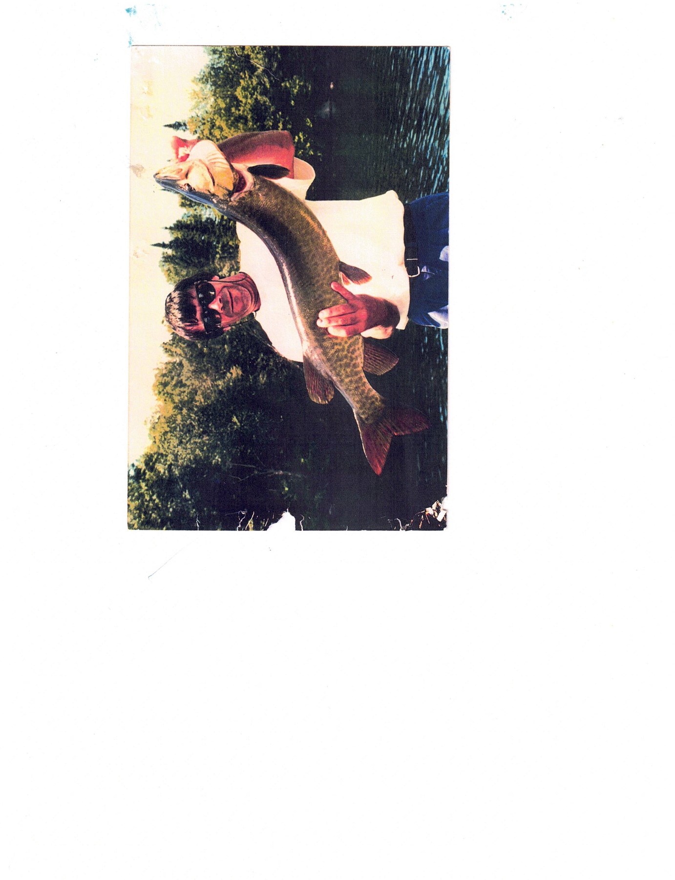 Avis de décès de André Faust