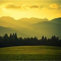 Obituary of Sharon Lynne Adams