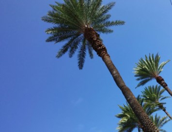 Obituary of Paul Tyler Martinez