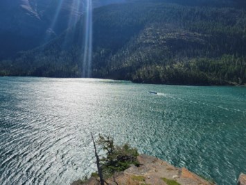 Obituary of Max Alan Levy