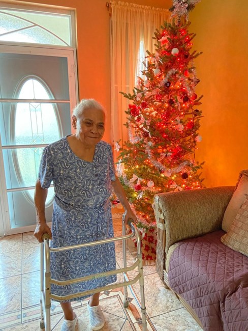 Obituario de Ramona Ortiz Andino