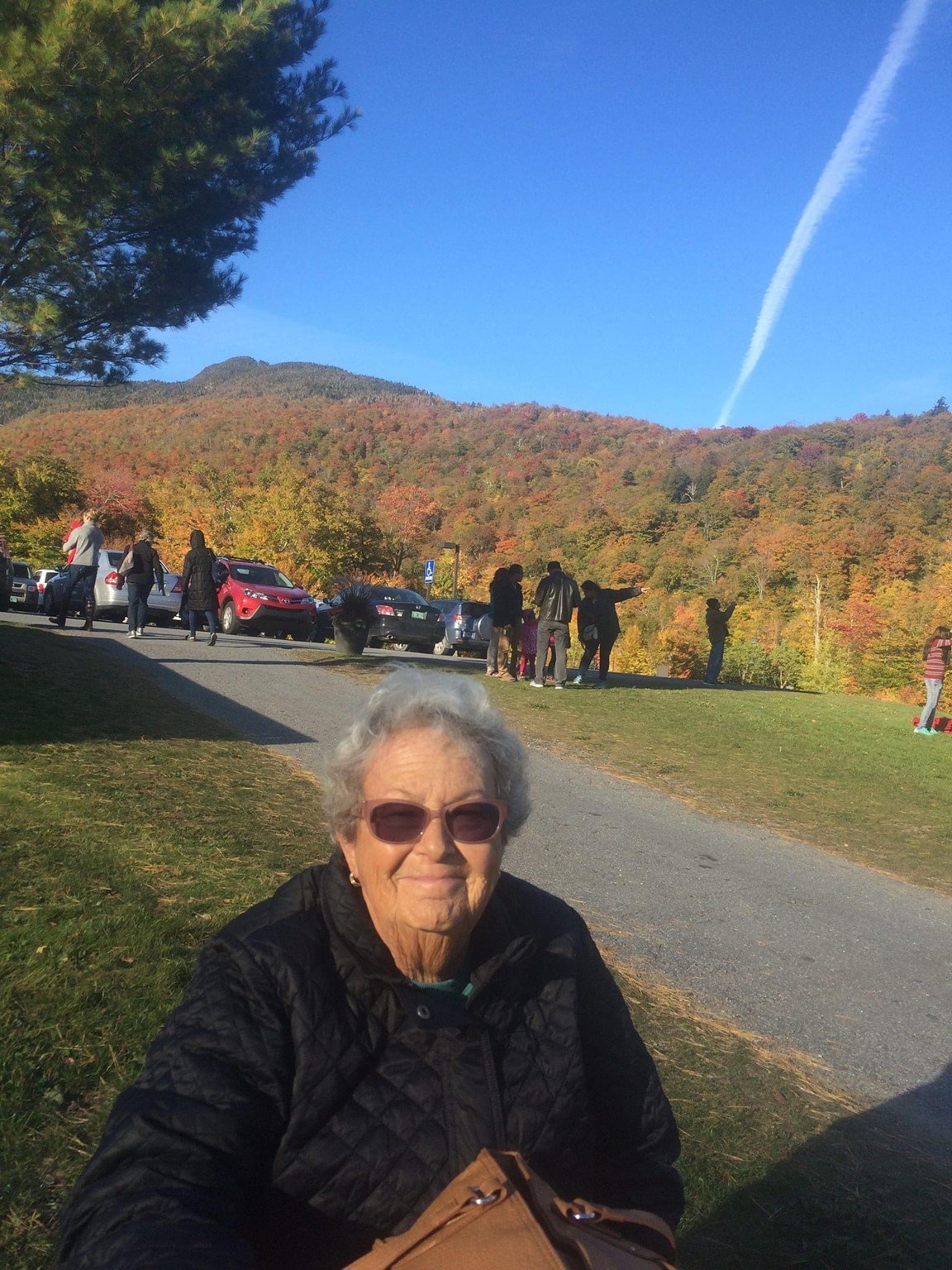 Obituary of Rosemary Borin