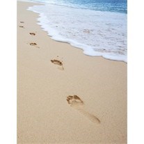 Obituary of David Ball