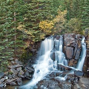 Obituary of Robert Taylor "Sonny" Davis