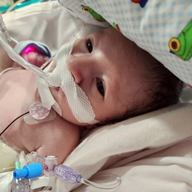 Obituary of William Joe Lopez Sotomayor